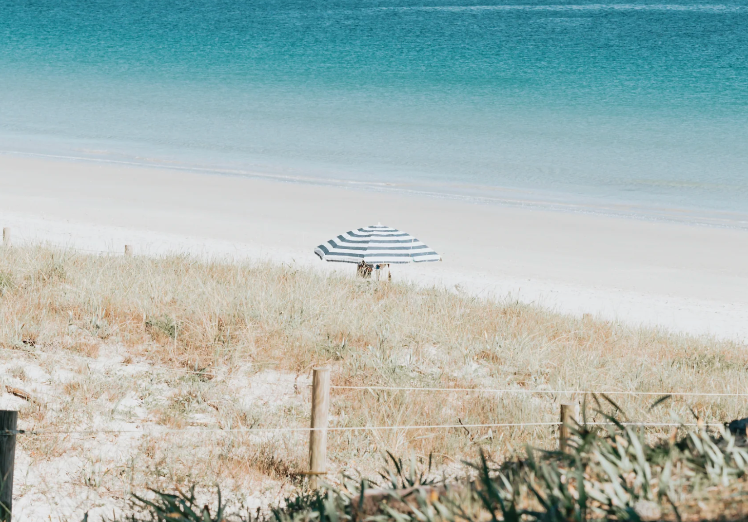 21 Things to Do in Padstow: A Perfect Cornish Adventure