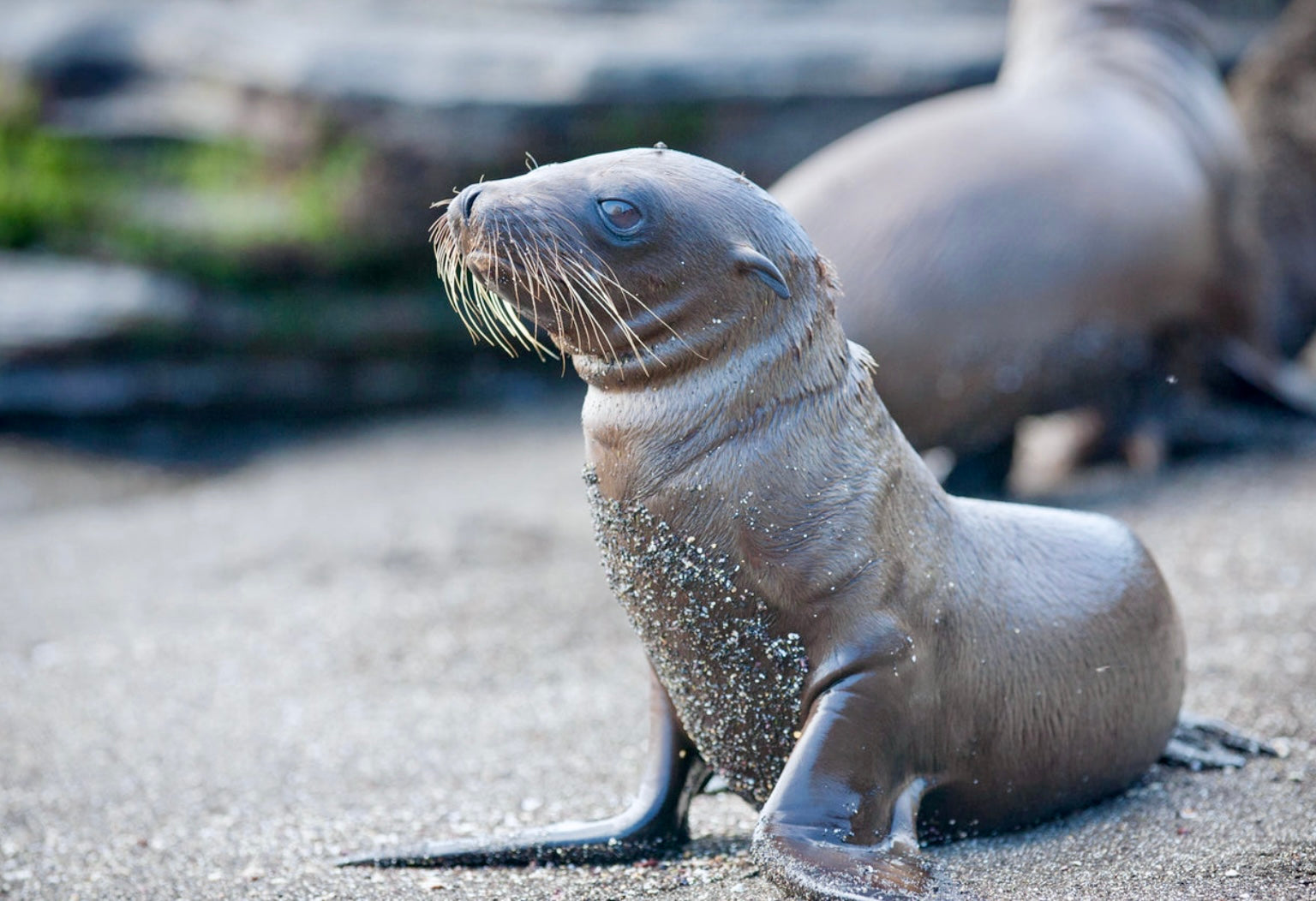 Top Water Attractions and Activities in Padstow: Things to Do in Padstow and Nearby