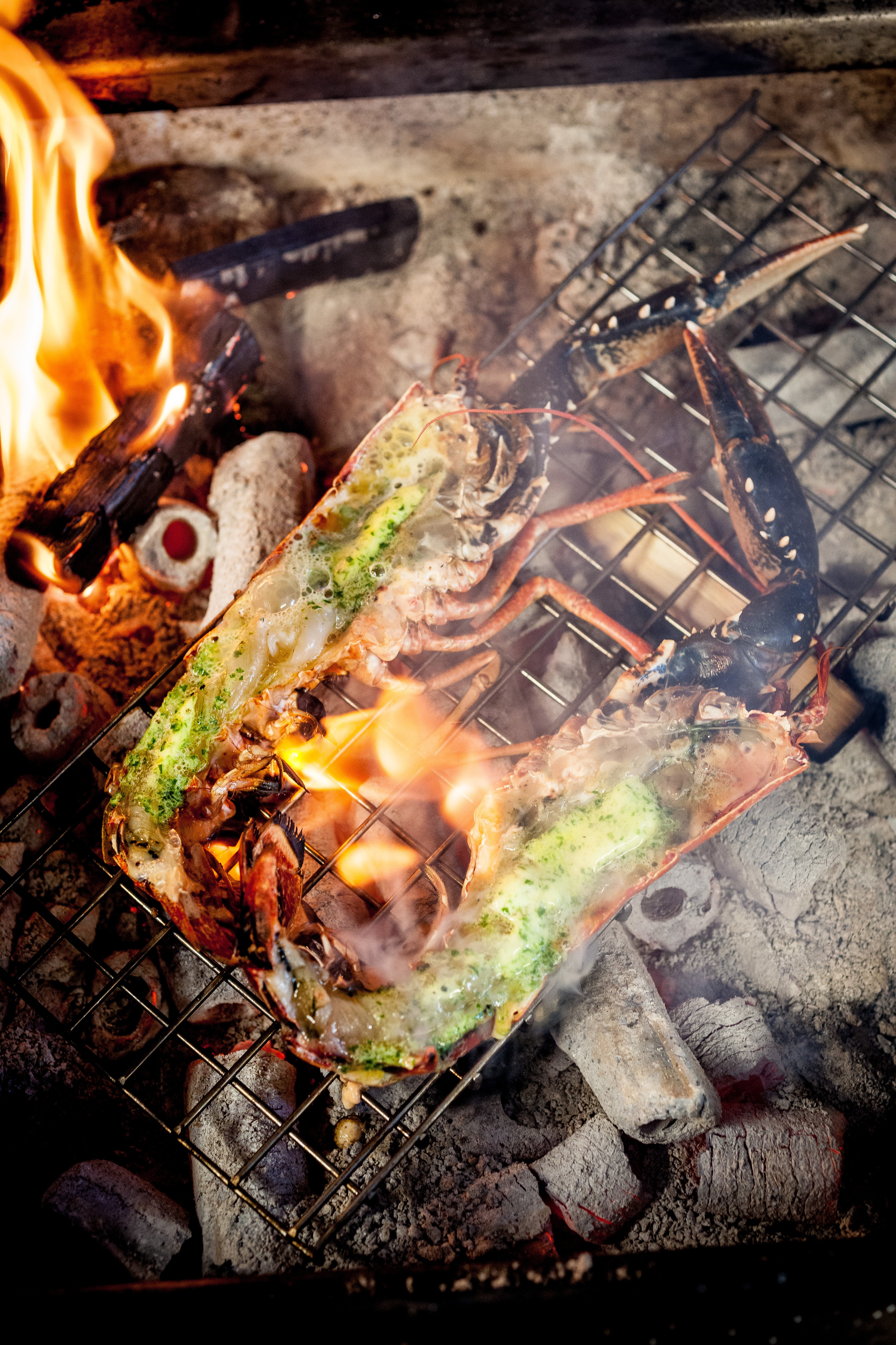 seafood dining Padstow