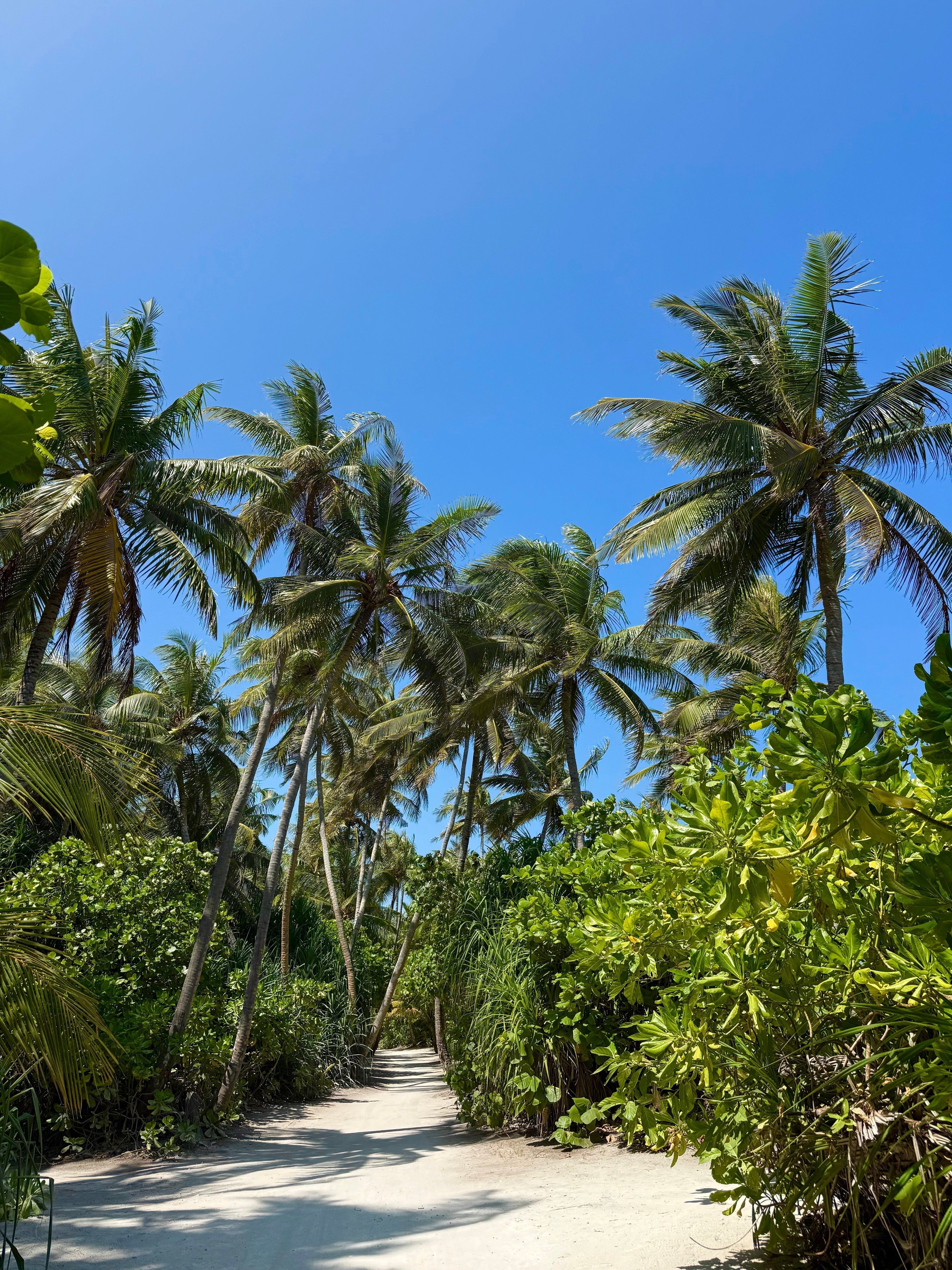 Is Padstow Better Than the Maldives? Here’s Why It Just Might Be